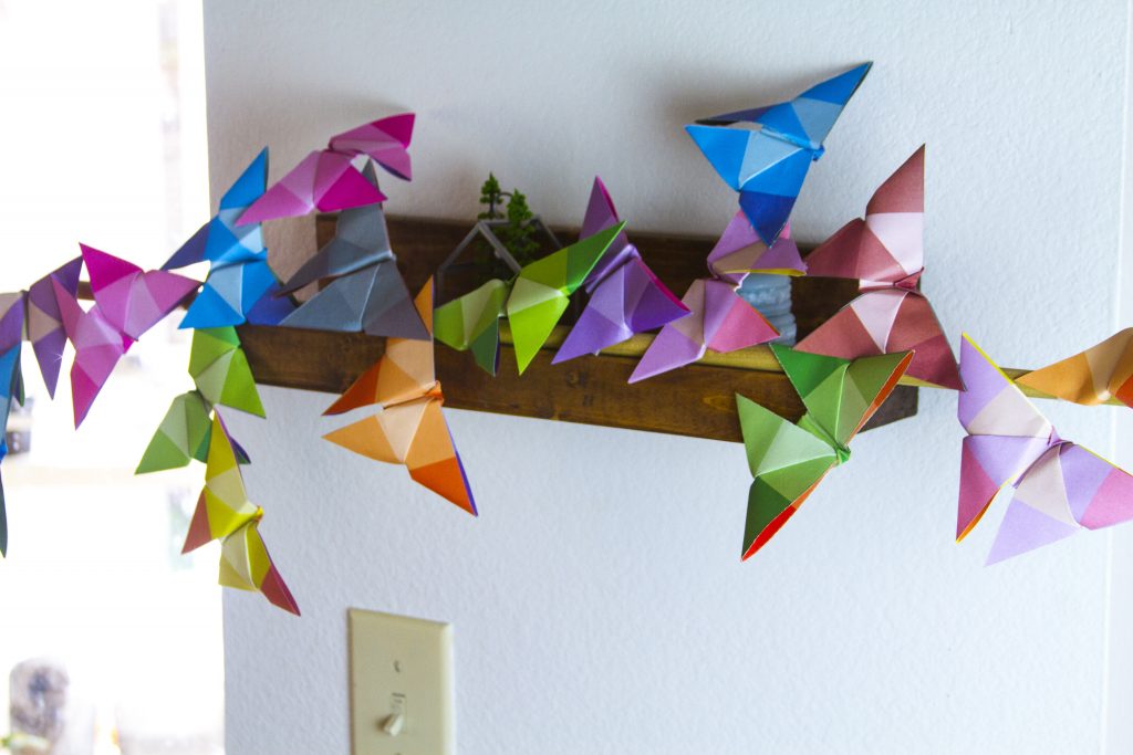 butterflies on display